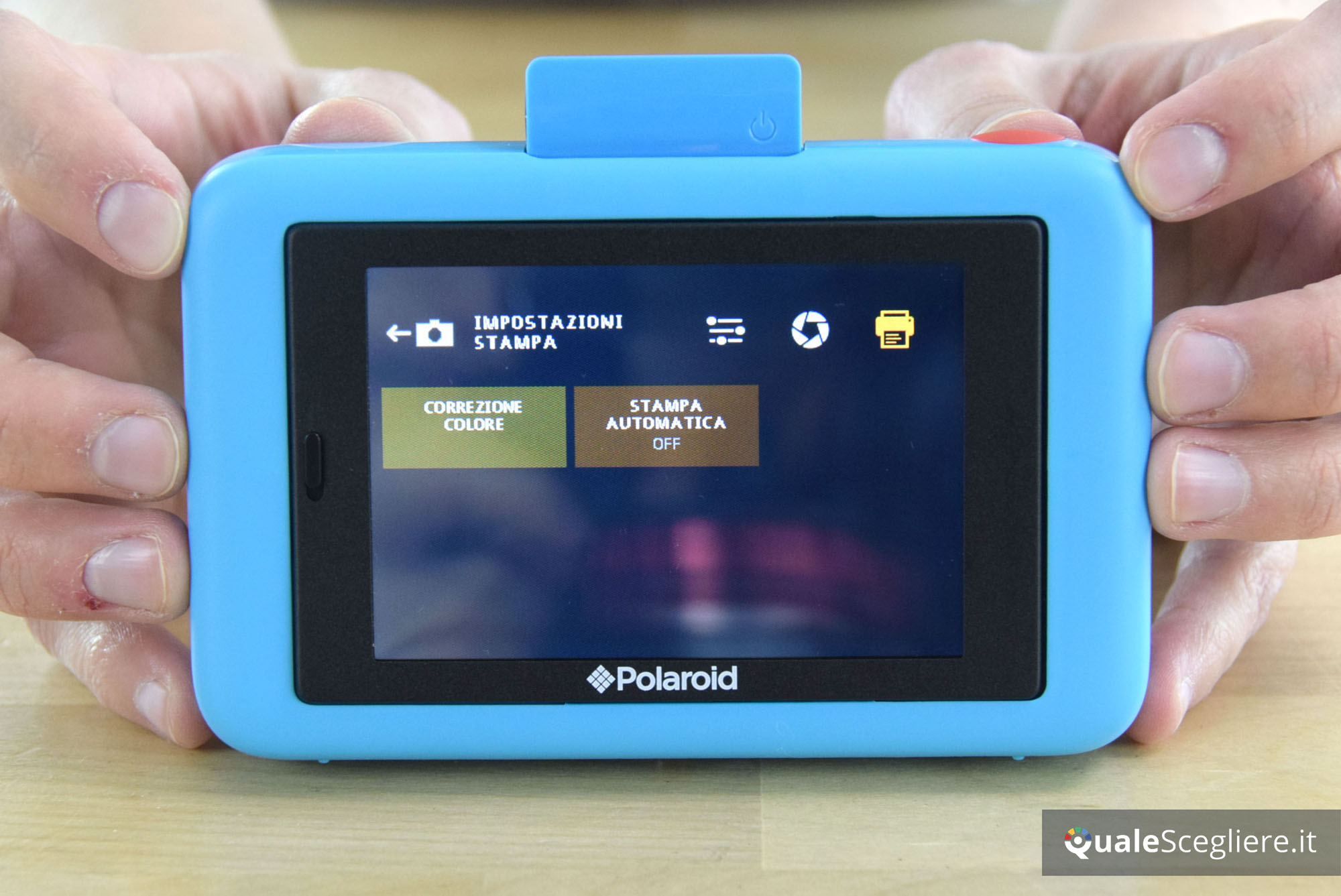 polaroid batteria scaricare